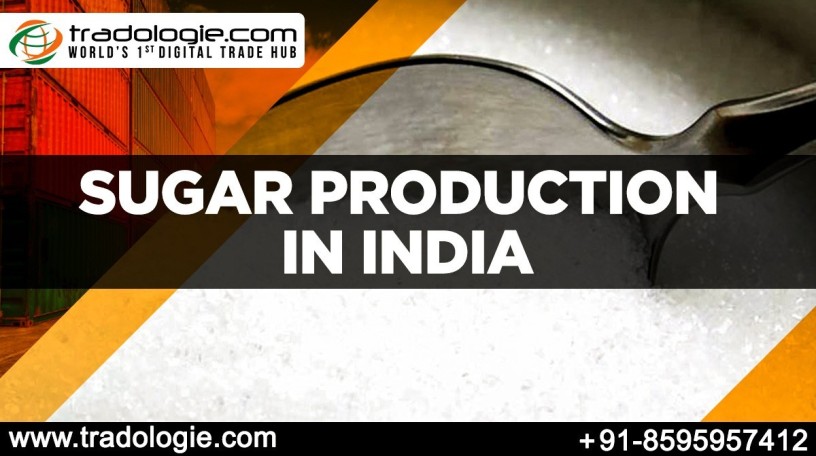 sugar-production-in-india-big-0