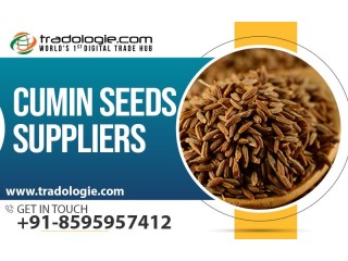 Cumin Seeds Suppliers.
