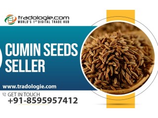 Cumin Seeds Seller..