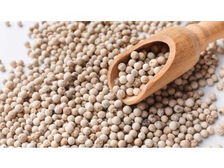 Top 10 White Pepper Exporters