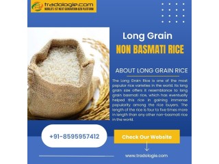 Long Grain Non Basmati Rice.