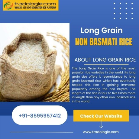 long-grain-non-basmati-rice-big-0