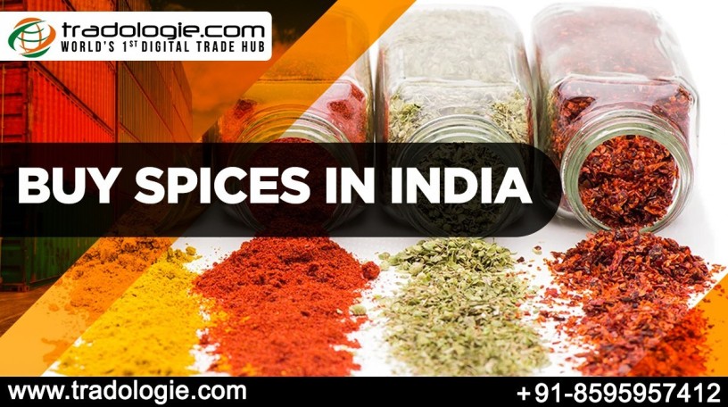 buy-spices-in-india-big-0