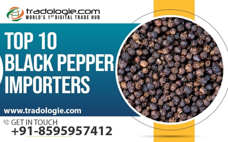 top-10-black-pepper-importers-big-0