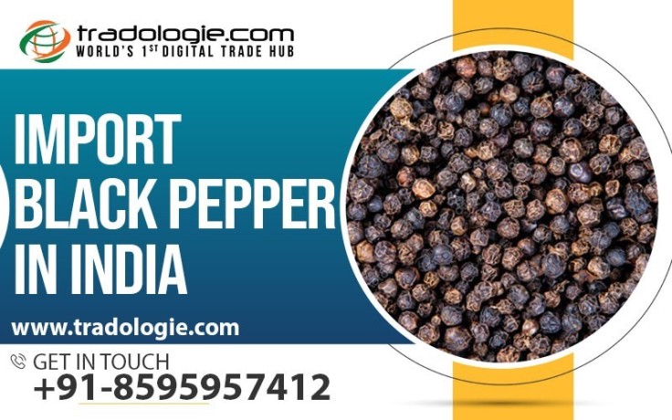 import-black-pepper-in-india-big-0