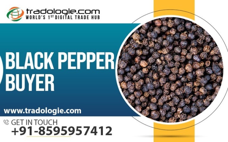 black-pepper-buyer-big-0