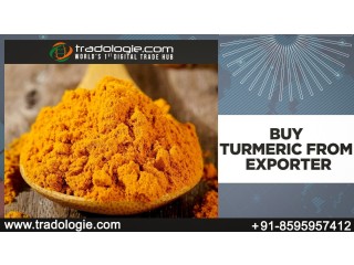 Buy Turmeric from Exporter..