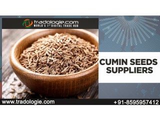 Cumin Seeds Suppliers..