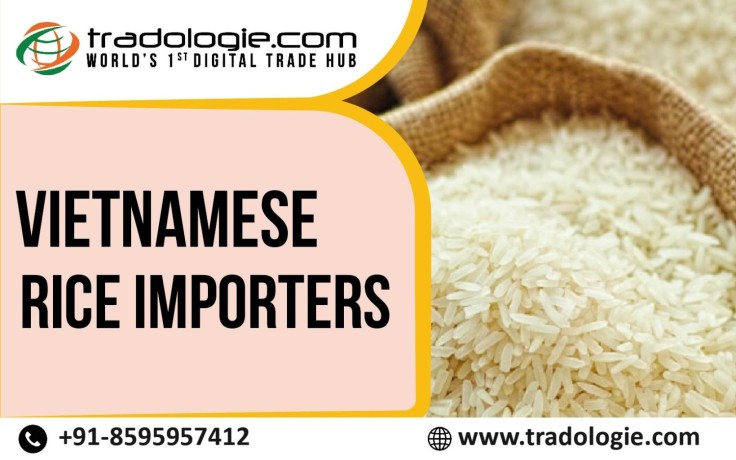 vietnamese-rice-importers-big-0