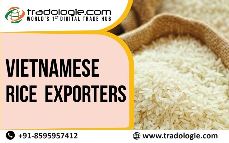 vietnamese-rice-exporter-big-0