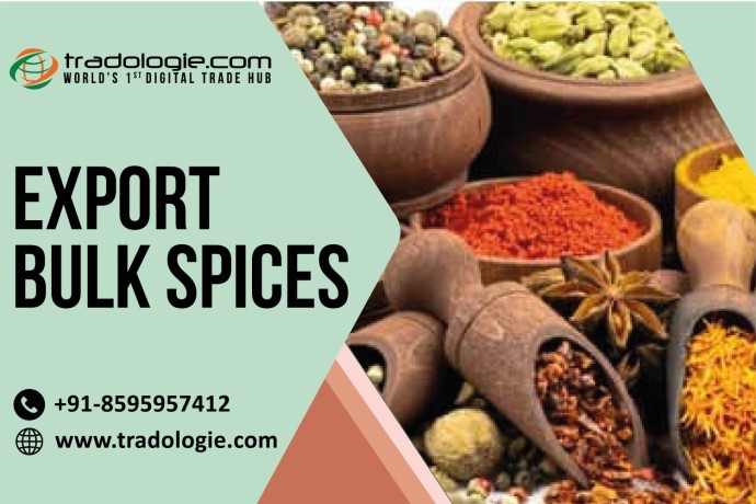 export-bulk-spices-big-0