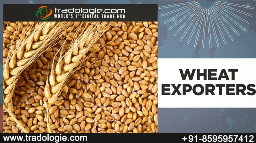 wheat-exporters-big-0