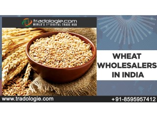 Wheat Wholesalers in India...