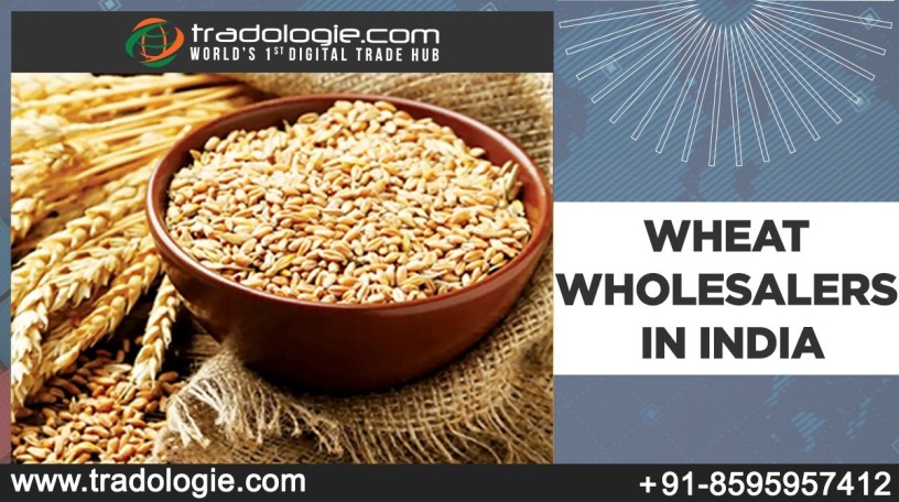 wheat-wholesalers-in-india-big-0