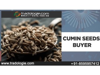 Cumin Seeds Buyer..