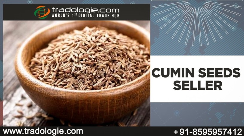 cumin-seeds-seller-big-0