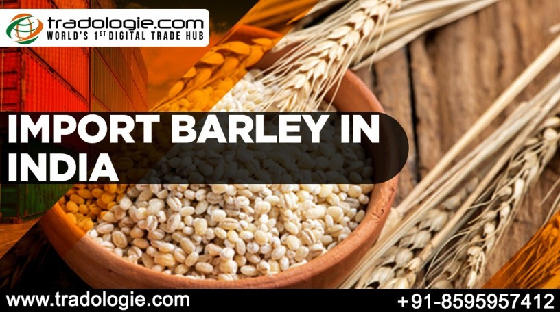 import-barley-in-india-big-0