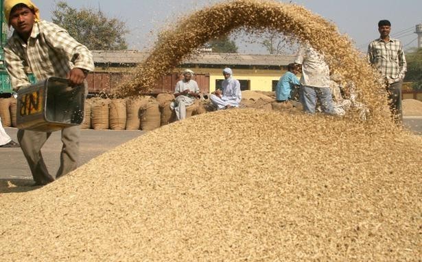 barley-wholesalers-big-0