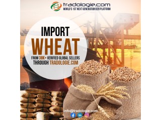 Import Wheat in India.