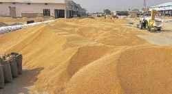 wheat-wholesalers-big-0