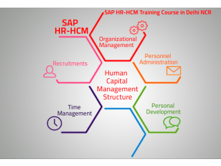 SAP HR HCM Certification Classes, Delhi, SLA Institute for Human Resource Course, 100% Job. Salary Upto 6.3 LPA, 31Jna 23 Offer,