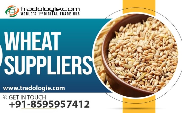 wheat-suppliers-big-0