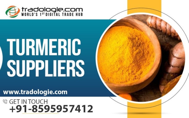 turmeric-suppliers-big-0