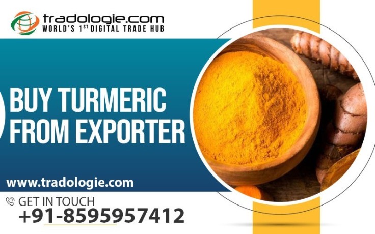 buy-turmeric-from-exporter-big-0