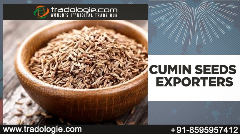 cumin-seeds-exporters-big-0