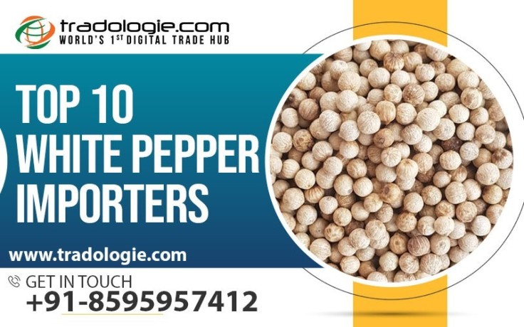 top-10-white-pepper-importers-big-0