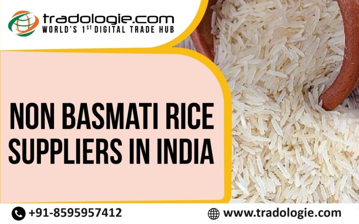 non-basmati-rice-suppliers-in-india-big-0