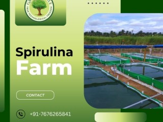 Spirulina Farming Solution | Spirulina Algae Farming