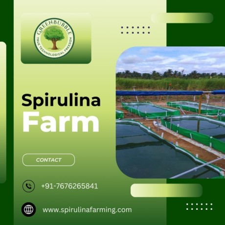 spirulina-farming-solution-spirulina-algae-farming-big-0